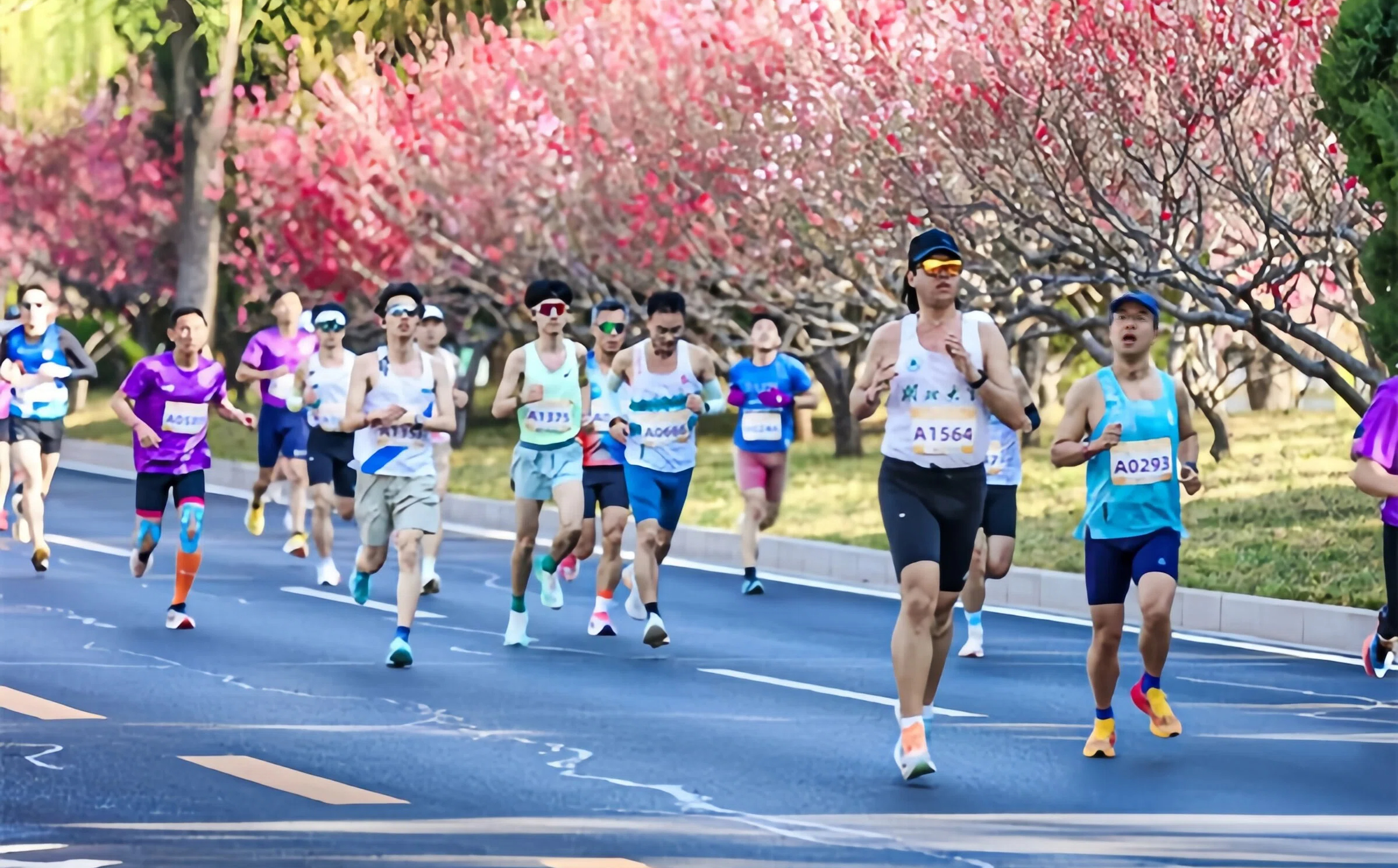 W020260320378705006652 (1).jpg