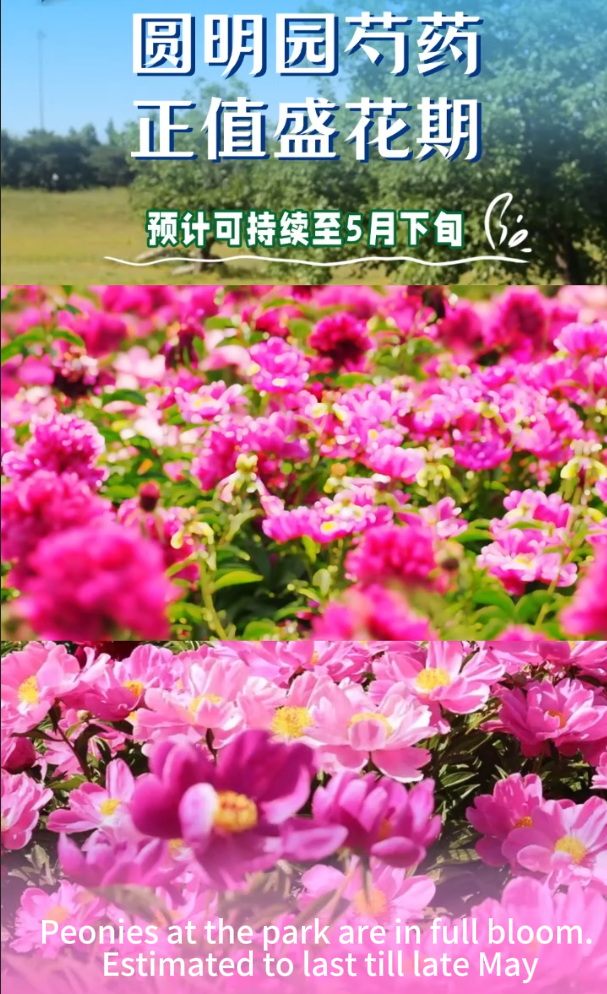 剪辑_4.jpg