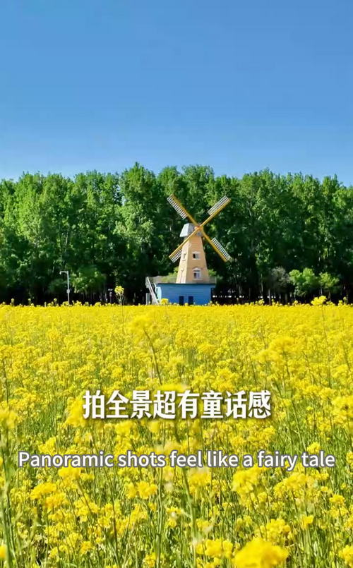 搜狗高速浏览器截图20260525204202.png